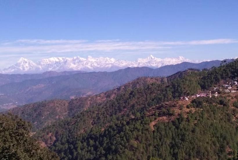 标准间, The Royal Mountain