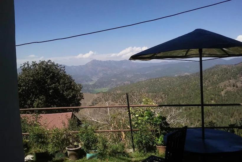 标准间, The Royal Mountain