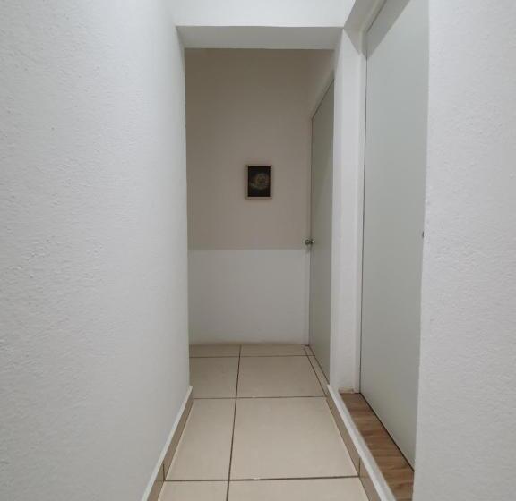 شقة سوبريور غرفة واحدة, Pacifico 9