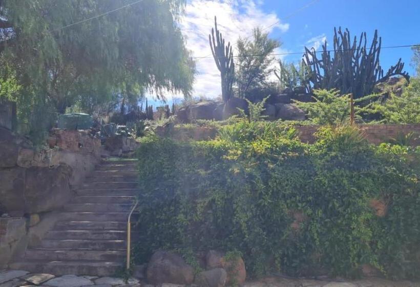 غرفة عائلية, Lavender Blue Guesthouse