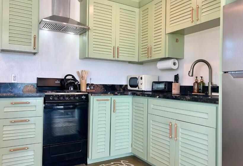 شقة غرفة واحدة, Villas Secreta Beachfront Resort