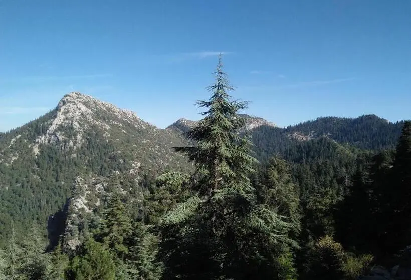 Neljän hengen Economy-huone jaetulla kylpyhuoneella, Gîte De Montagne Azilane