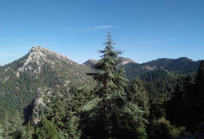 اتاق اکونومی, Gîte De Montagne Azilane