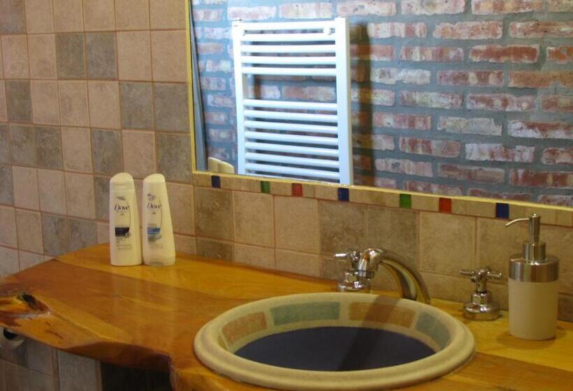 스탠다드 룸 산 전망, Patagonicus