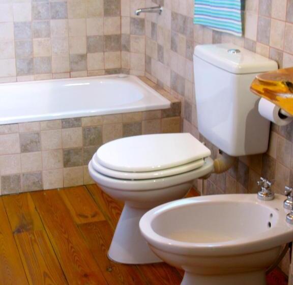 스탠다드 룸 산 전망, Patagonicus