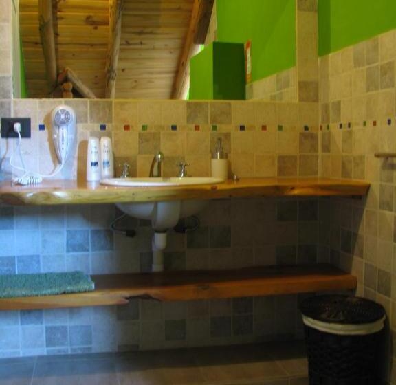 스탠다드 룸 산 전망, Patagonicus