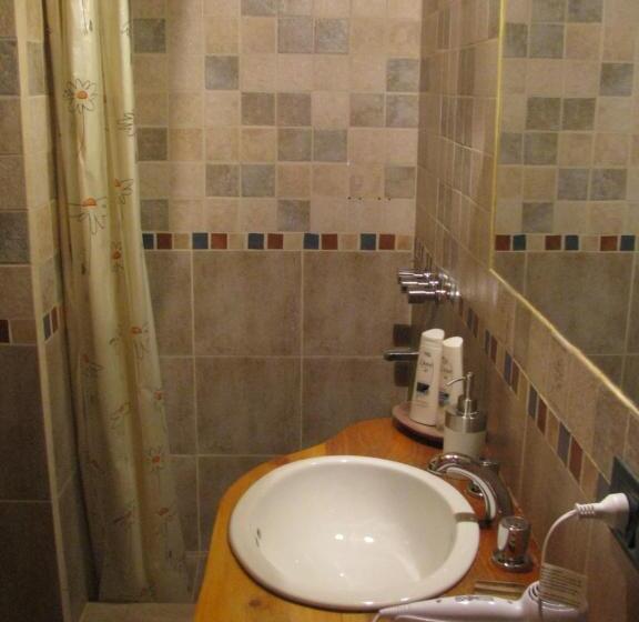 스탠다드 룸, Patagonicus