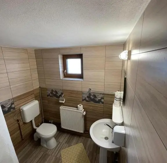 Deluxe-huone, Pensiunea Alszegi Panzió