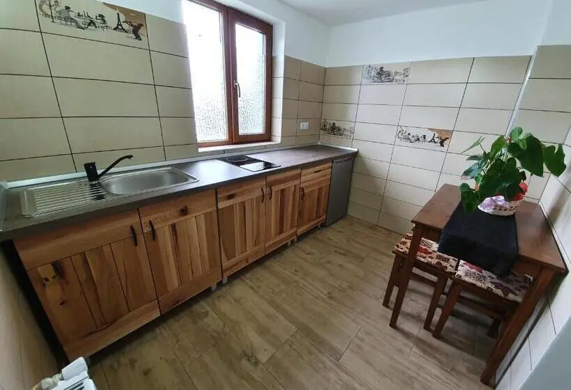 Deluxe-huone, Pensiunea Alszegi Panzió
