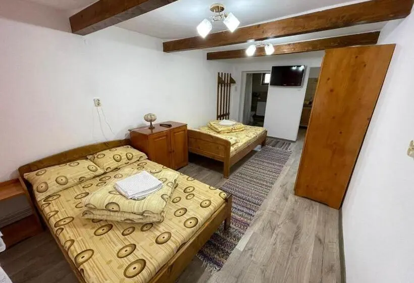 Deluxe-huone, Pensiunea Alszegi Panzió