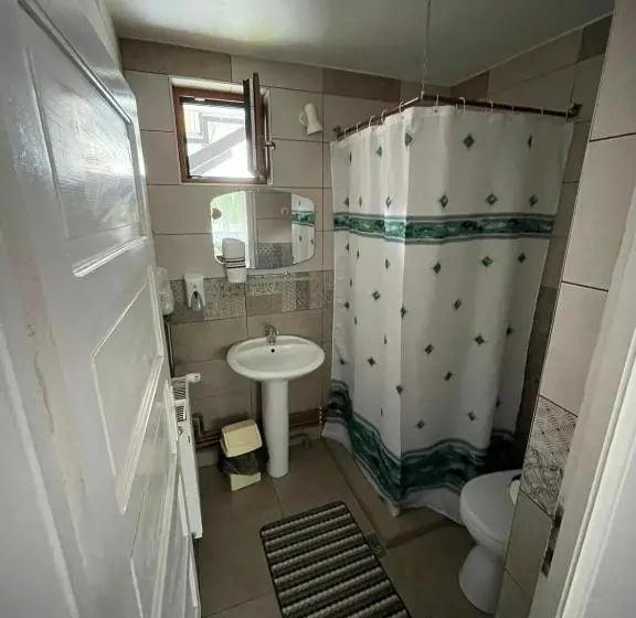 Deluxe-huone, Pensiunea Alszegi Panzió
