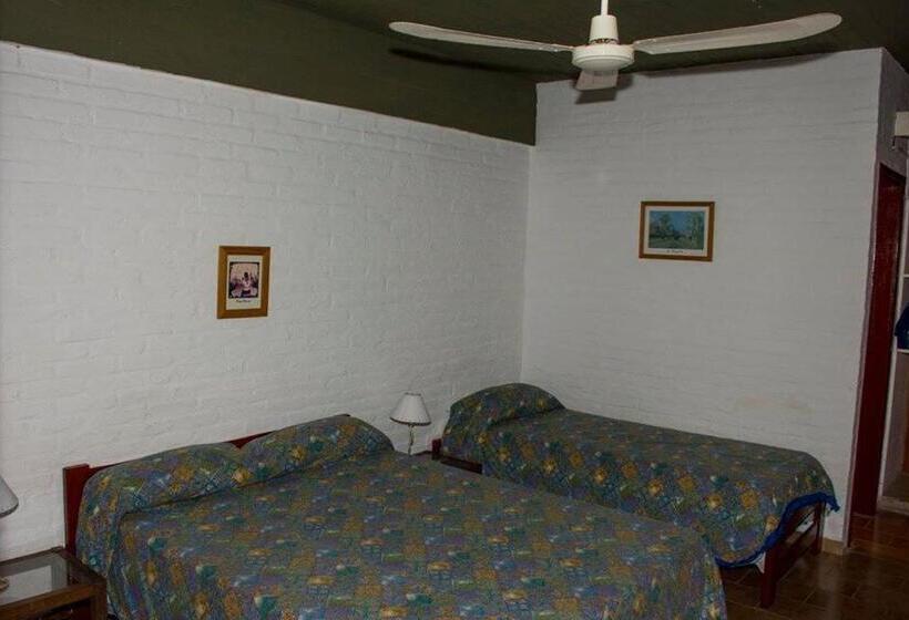 스탠다드 룸, Costa Isabel