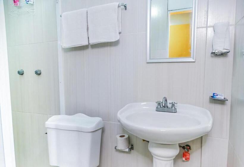 エコノミールーム, The Vision