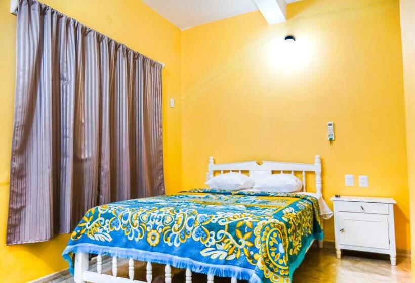 エコノミールーム, The Vision