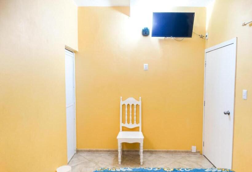 エコノミールーム, The Vision