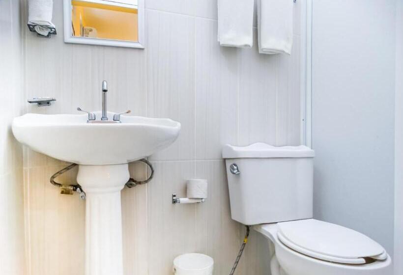 エコノミールーム, The Vision