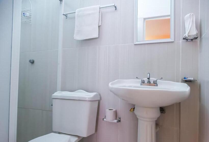 エコノミールーム, The Vision