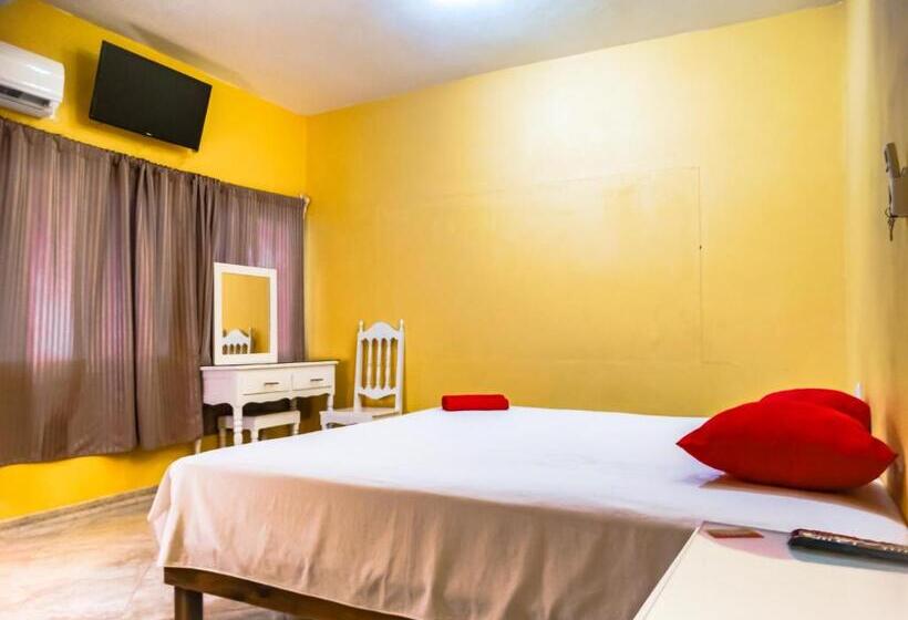 キングサイズベッドのスタンダードルーム, The Vision