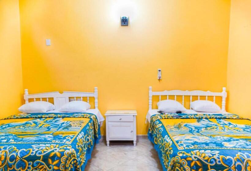 スタンダードルーム, The Vision