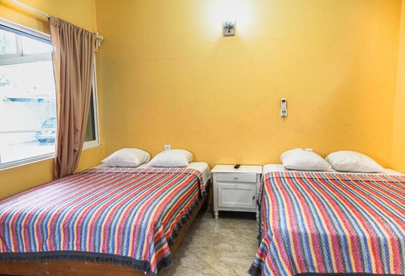 スタンダードルーム, The Vision