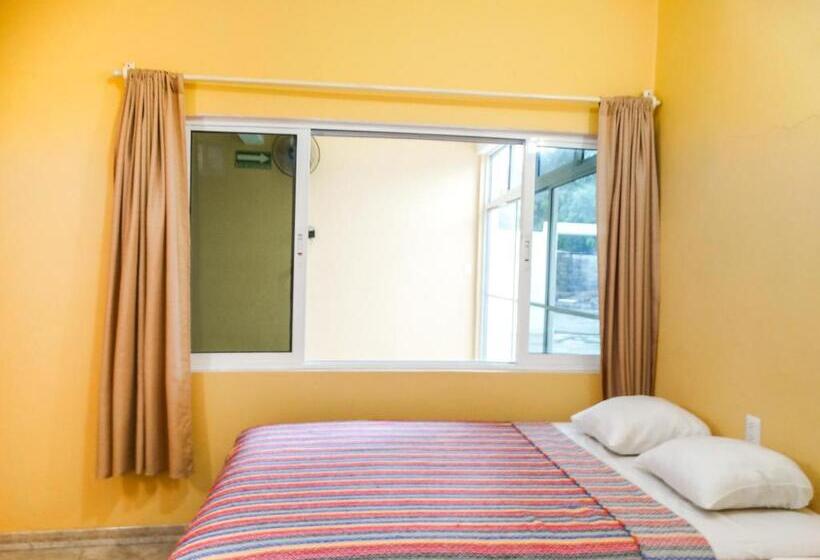 スタンダードルーム, The Vision