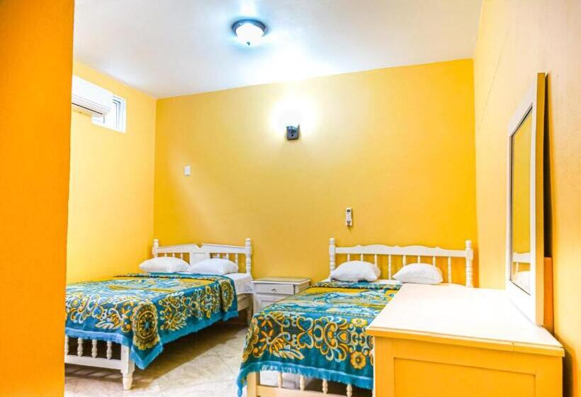 スタンダードルーム, The Vision