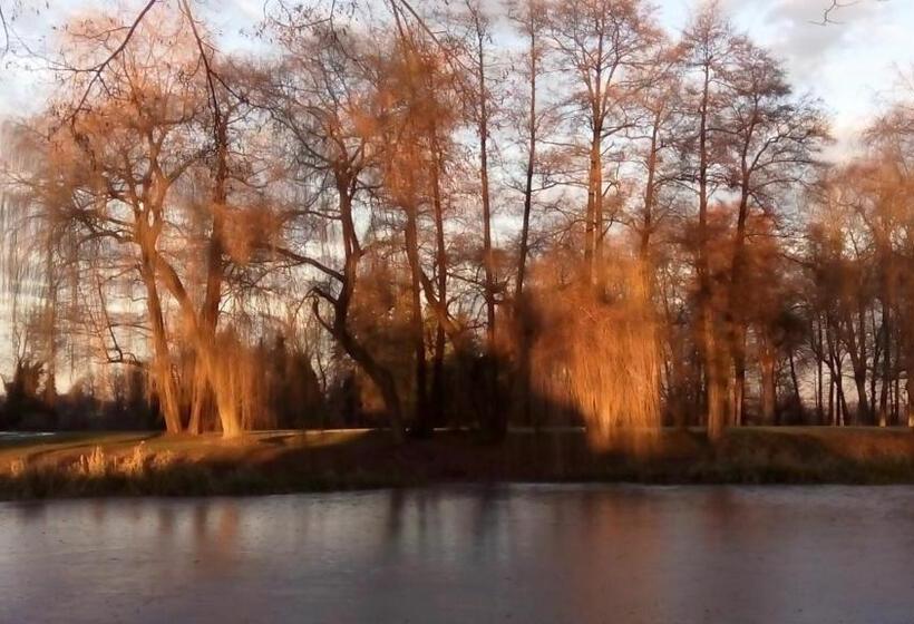 １ベッドルームのデラックスアパートメント, Apartmán V Suterénu