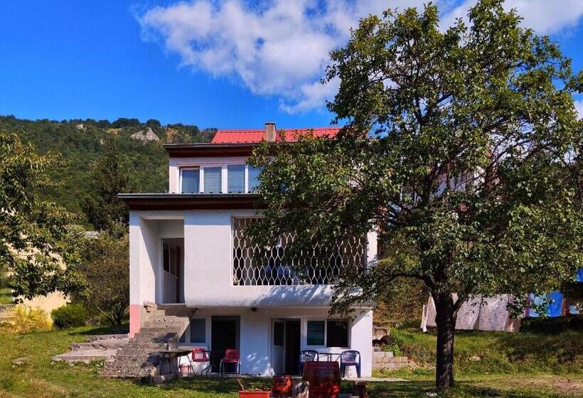 اتاق استاندارد با چشمانداز شهر, Guesthouse Mirkovic