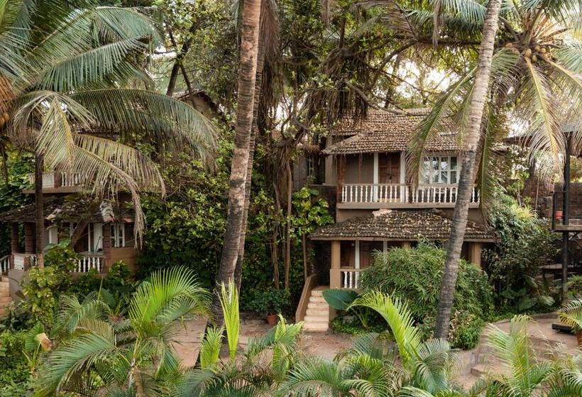 بنجلو قياسى, Anahata Retreat Ashvem Goa