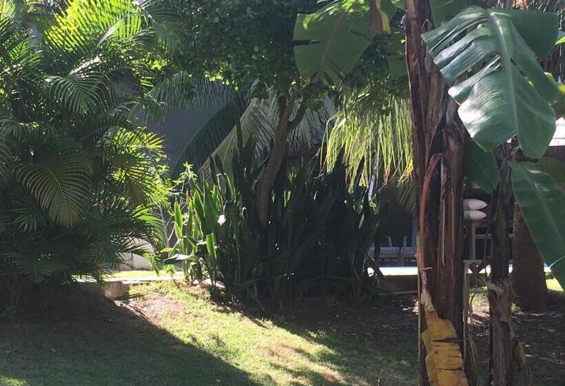 스탠다드 스튜디오, Aldeia De Geribá Jardim, Piscina E Praia