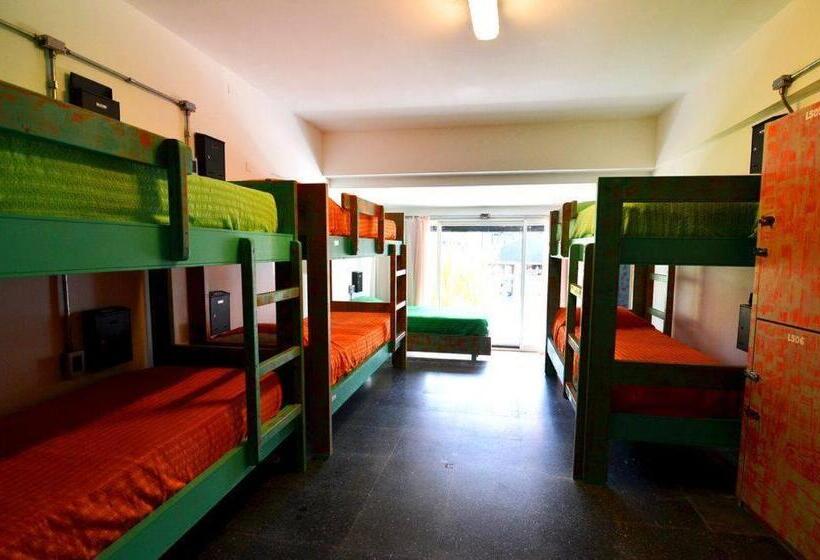 تختخواب در اتاق مشترک, Hostel Del Puerto