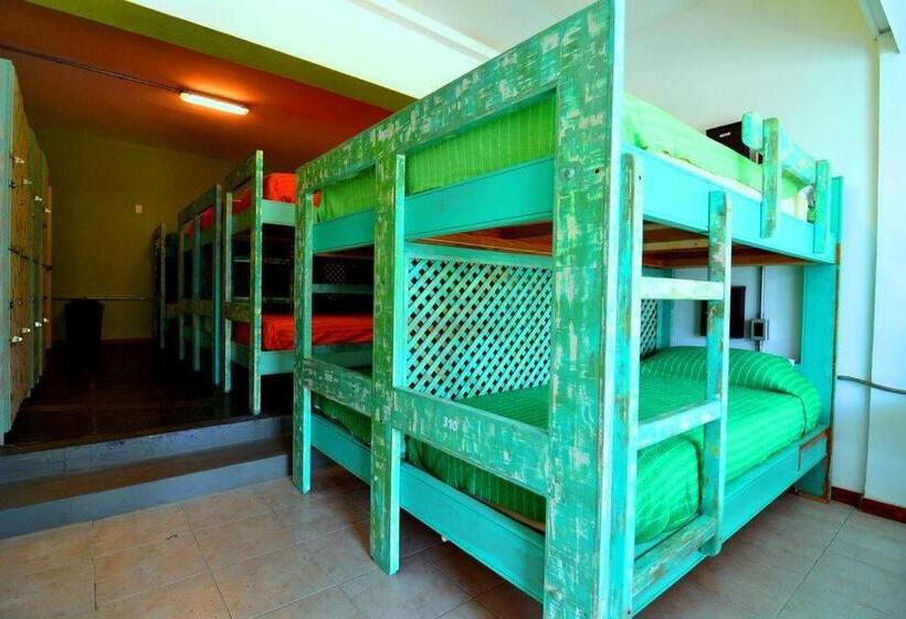 تختخواب در اتاق مشترک, Hostel Del Puerto