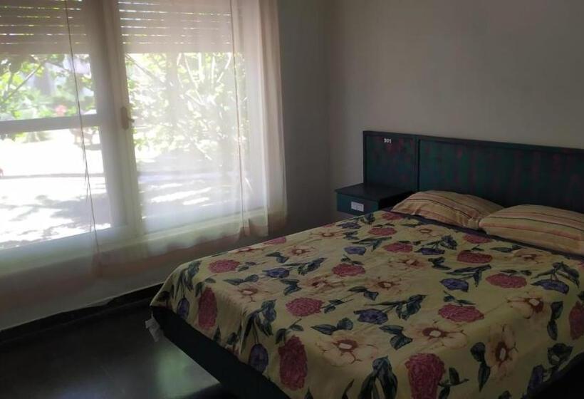 اتاق استاندارد با سرویس بهداشتی مشترک, Hostel Del Puerto