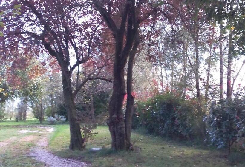 Номер Стандарт, Ca  Del Tajo