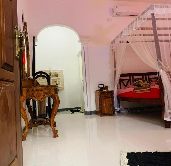 デラックスルーム, Lucky Guest