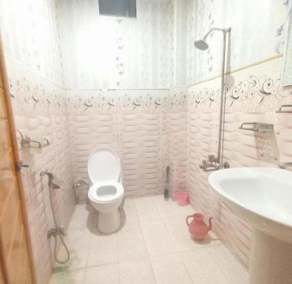 اتاق لوکس, River Breeze Family Hotel, Swat