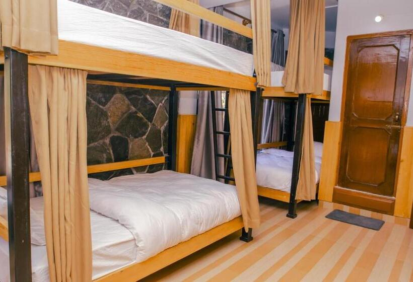 تختخواب در اتاق مشترک, Roamers Inn Hostel