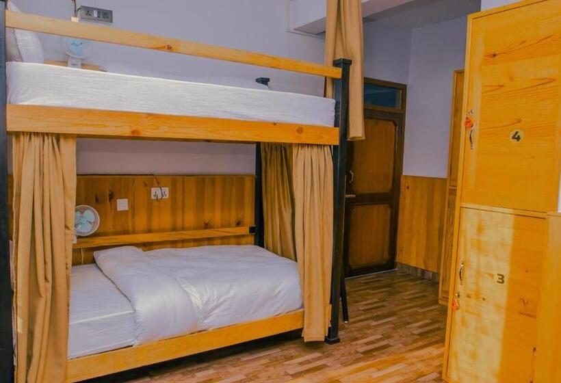تختخواب در اتاق مشترک, Roamers Inn Hostel