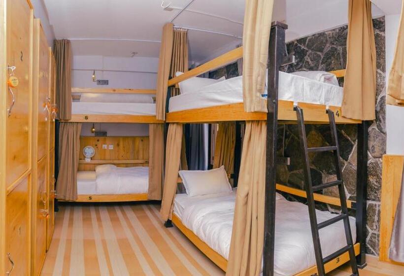 تختخواب در اتاق مشترک, Roamers Inn Hostel