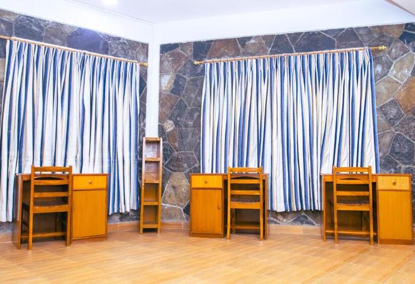 تختخواب در اتاق مشترک, Roamers Inn Hostel