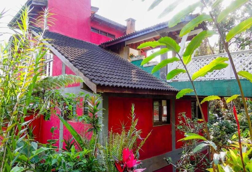Номер Стандарт, Guest House Prumirim