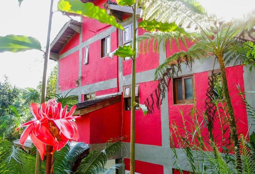 Номер Стандарт, Guest House Prumirim