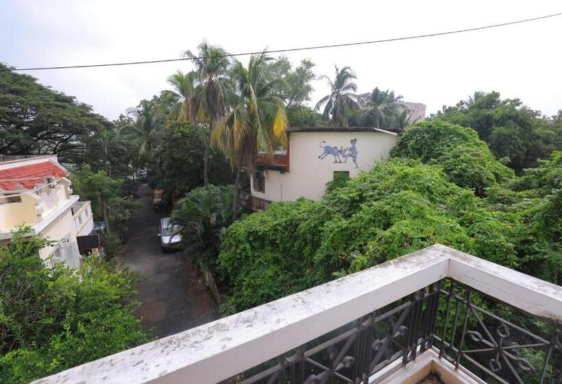 דירת שני חדרים, Sm Villa