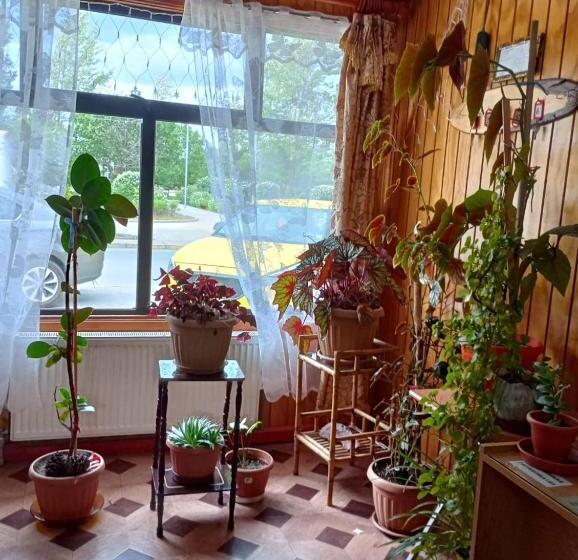 四人标准间, Hostal Josmar Natales
