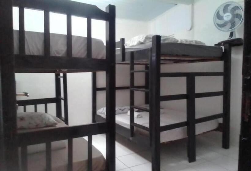 غرفة عائلية, Casa Wilson