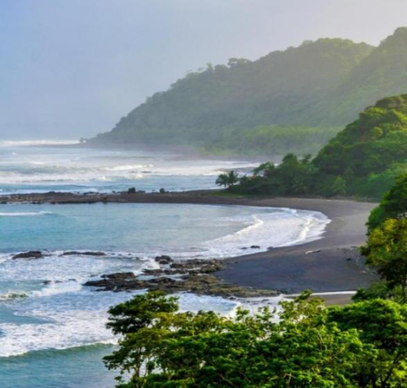 スタンダード4人部屋, The Hide Away