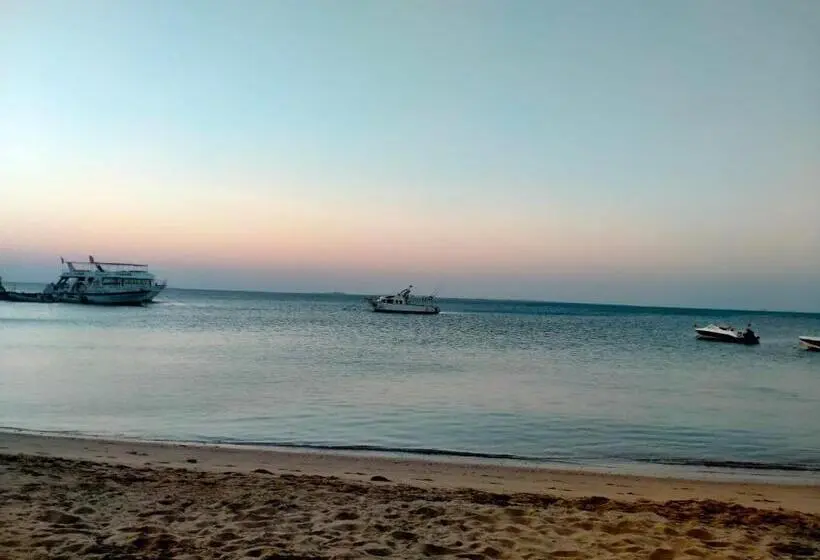اتاق استاندارد, Sun Beach Hotel Safaga