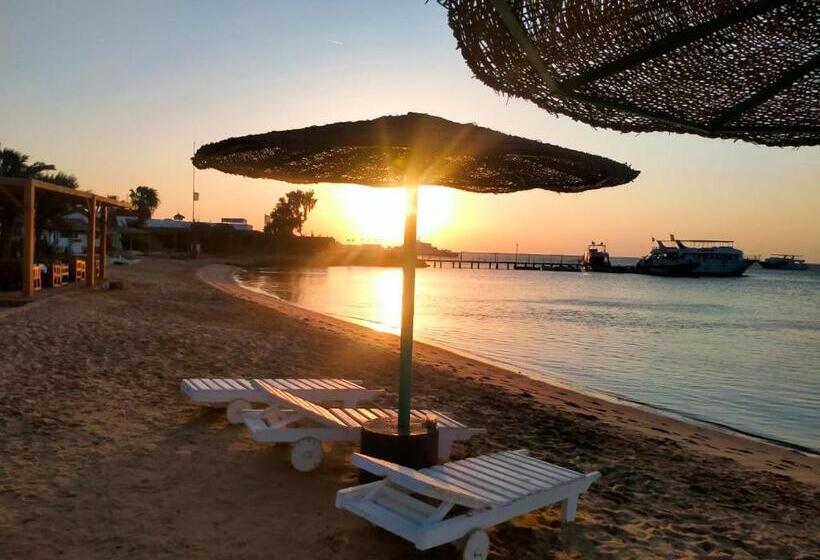 اتاق استاندارد, Sun Beach Hotel Safaga