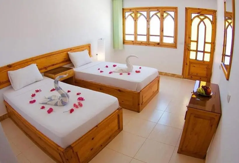اتاق استاندارد, Sun Beach Hotel Safaga