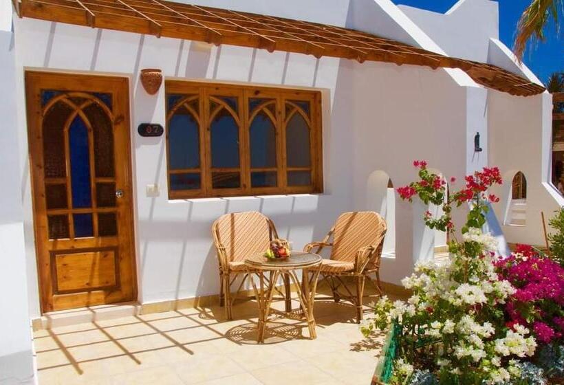 Номер Стандарт, Sun Beach Hotel Safaga
